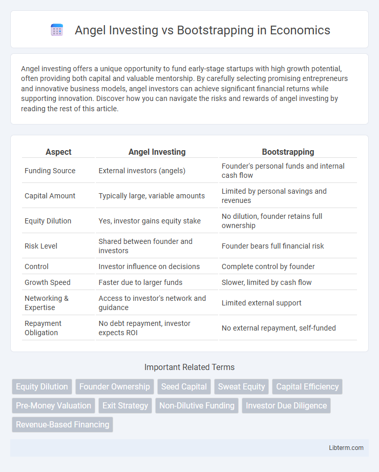 Bootstrapping vs Angel Investing in Economics - What is The Difference?