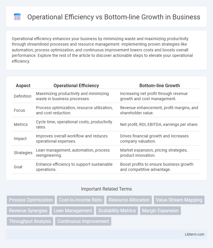 Bottom-line Growth vs Operational Efficiency in Business - What is The Difference?