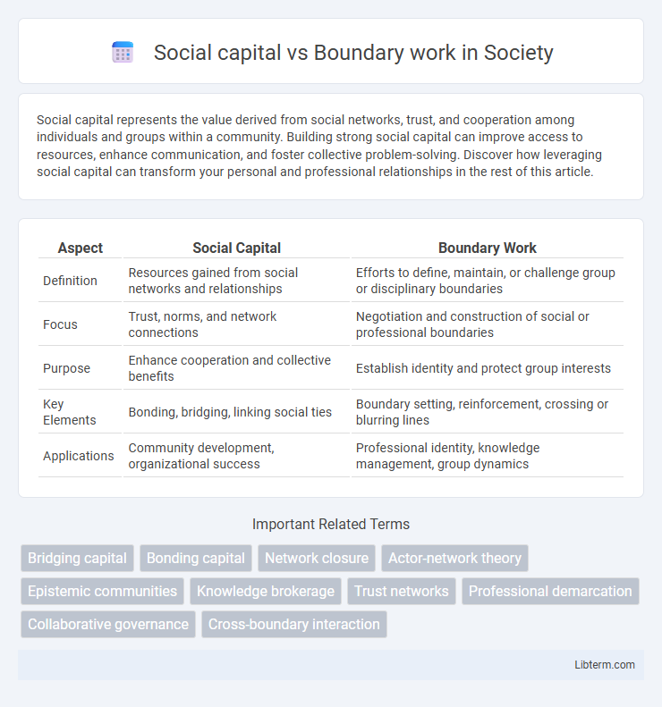 Boundary work vs Social capital in Society - What is The Difference?