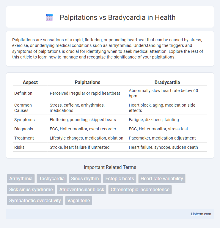 Bradycardia vs Palpitations in Health - What is The Difference?