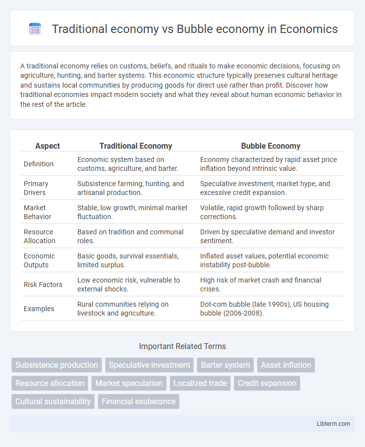 Bubble economy vs Traditional economy in Economics - What is The Difference?
