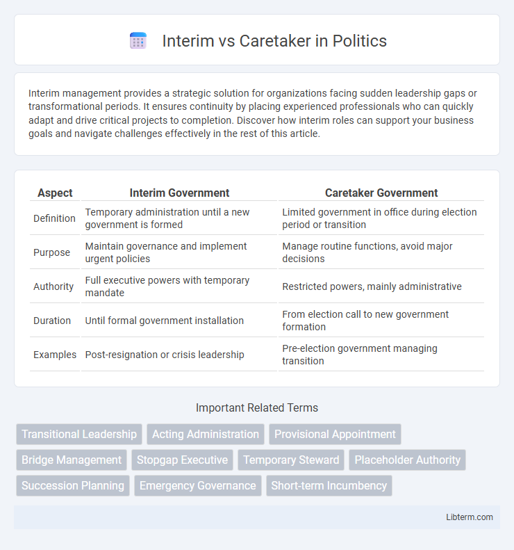 Caretaker vs Interim in Politics - What is The Difference?