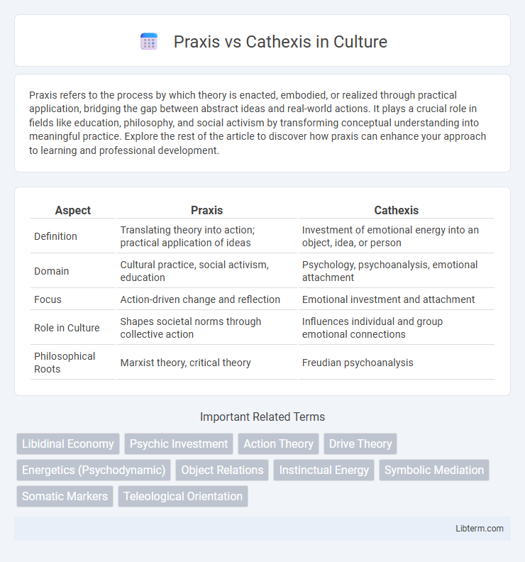 Cathexis vs Praxis in Culture - What is The Difference?