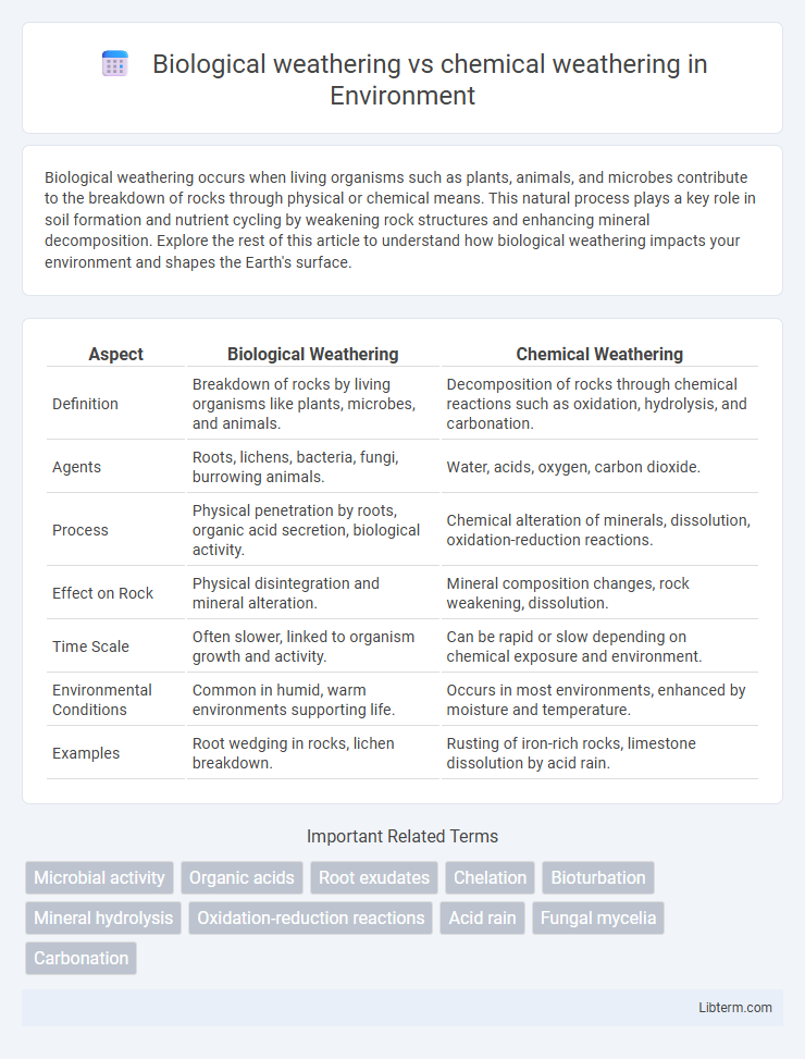 chemical weathering vs Biological weathering in Environment - What is The Difference?