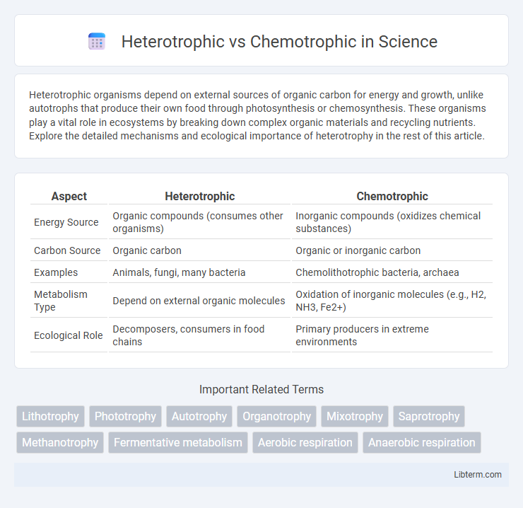 Chemotrophic vs Heterotrophic in Science - What is The Difference?