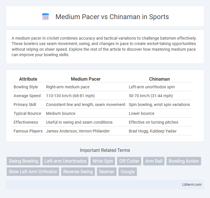 Chinaman vs Medium Pacer in Sports - What is The Difference?
