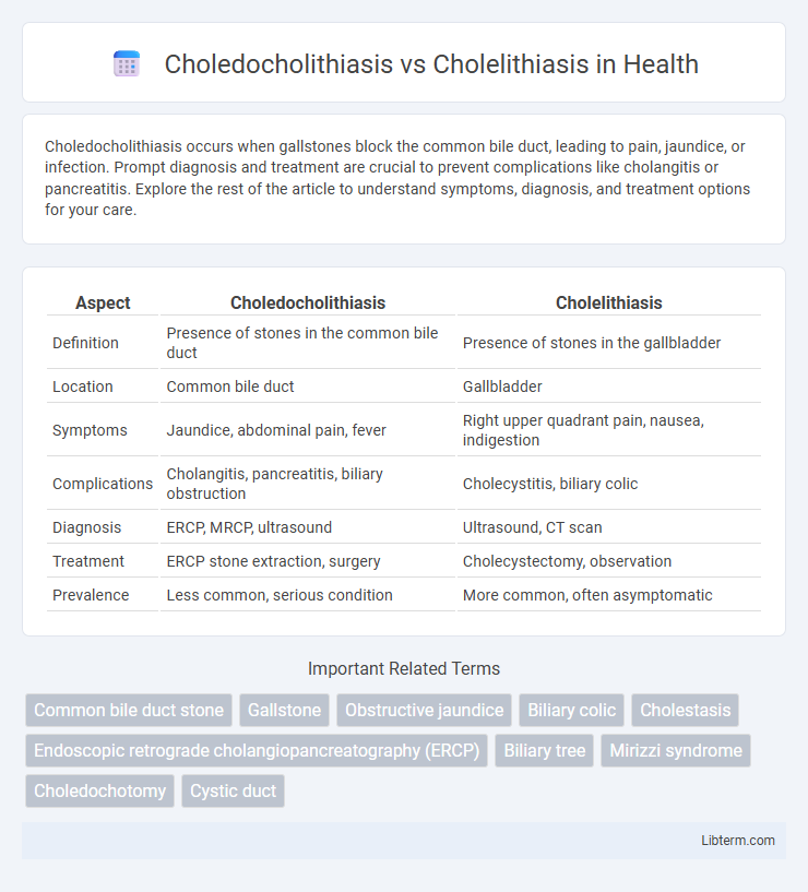 Cholelithiasis vs Choledocholithiasis in Health - What is The Difference?