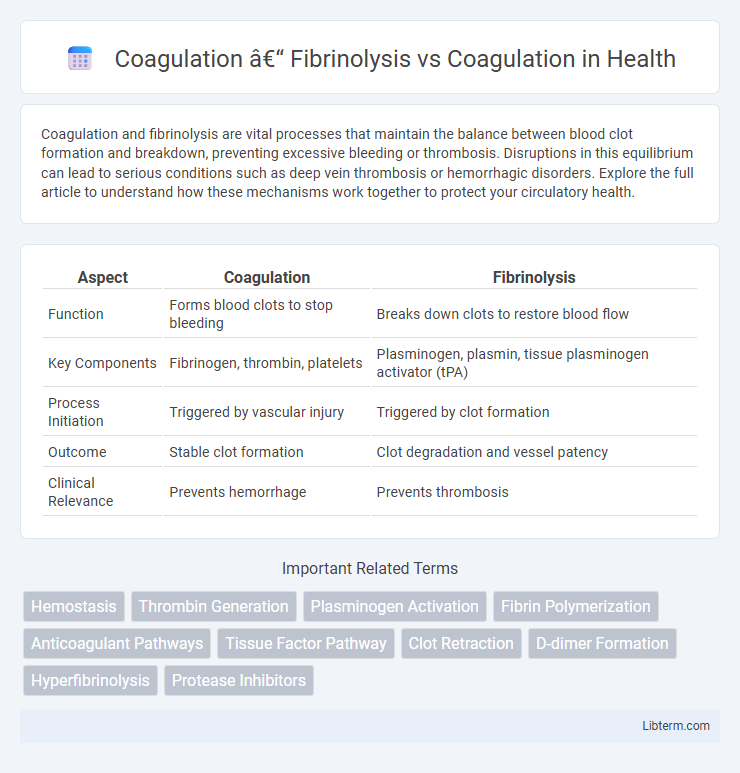 Coagulation vs Coagulation – Fibrinolysis in Health - What is The Difference?