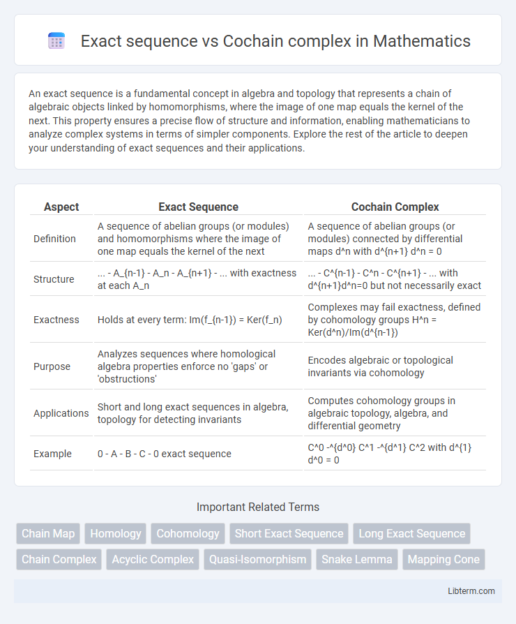 Cochain complex vs Exact sequence in Mathematics - What is The Difference?