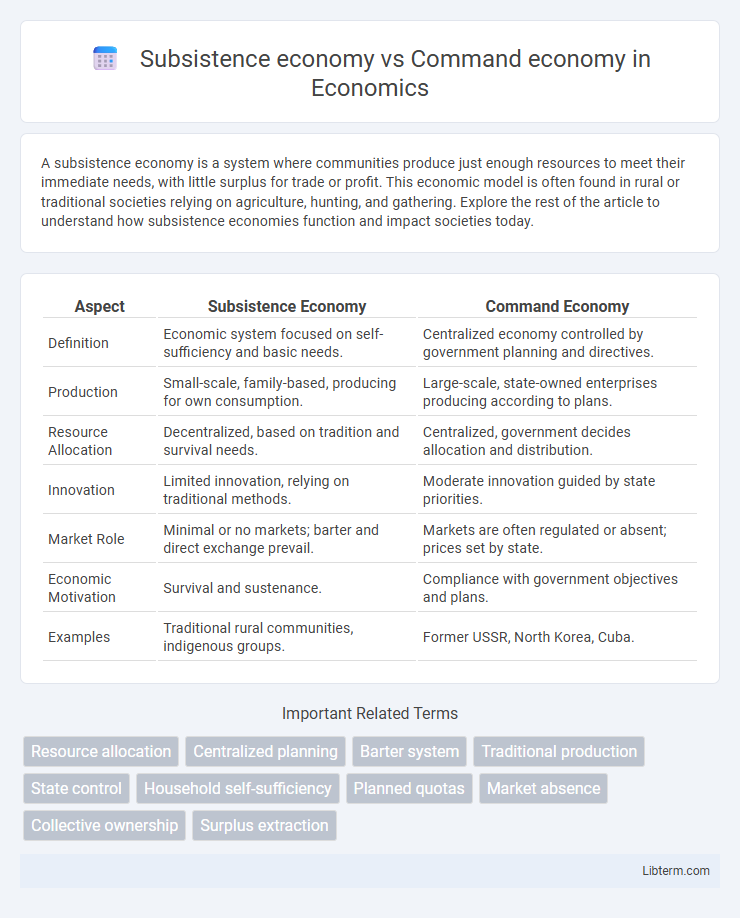 Command economy vs Subsistence economy in Economics - What is The Difference?