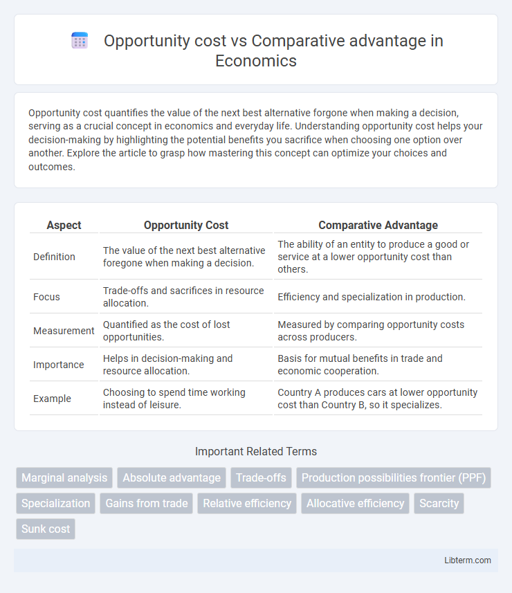 Comparative advantage vs Opportunity cost in Economics - What is The Difference?
