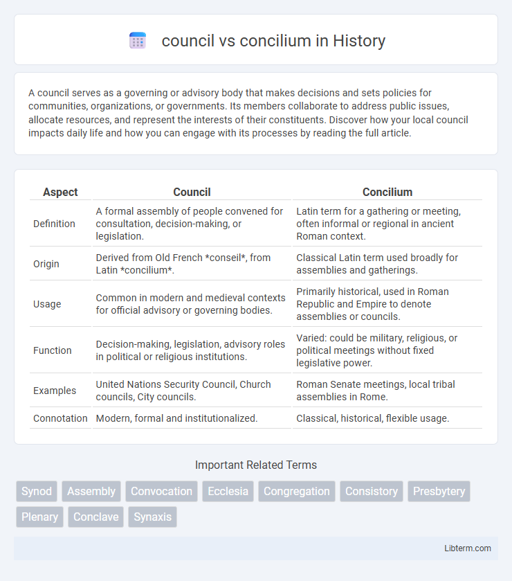 concilium vs council in History - What is The Difference?