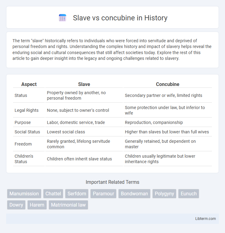 concubine vs Slave in History - What is The Difference?