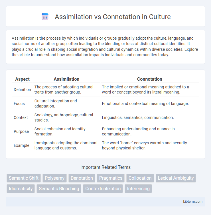 Connotation vs Assimilation in Culture - What is The Difference?