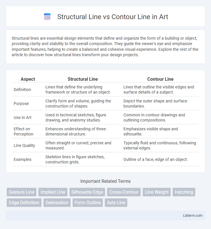 Contour Line vs Structural Line in Art - What is The Difference?