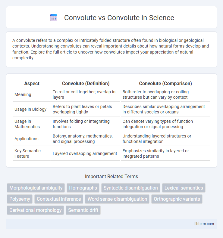 Convolute vs Convolute in Science - What is The Difference?