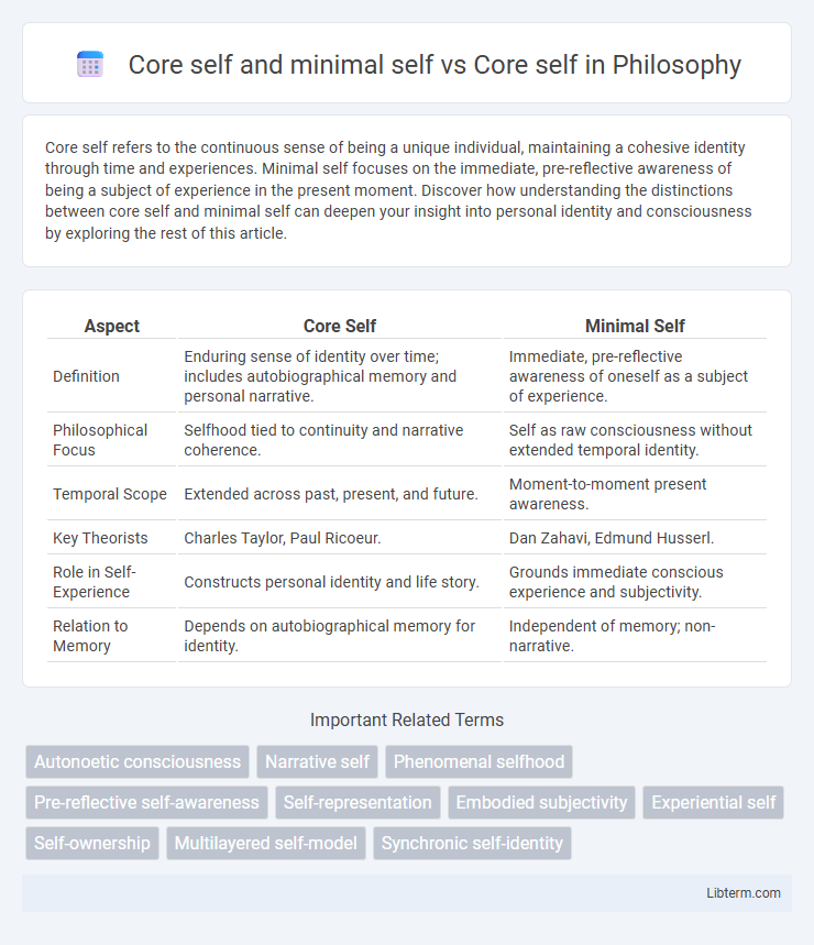 Core self vs Core self and minimal self in Philosophy - What is The Difference?
