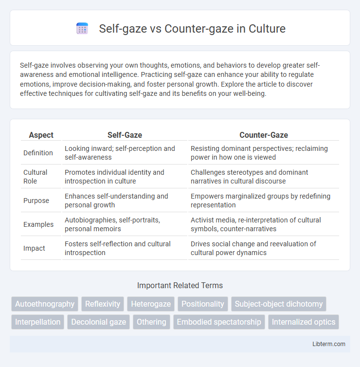 Counter-gaze vs Self-gaze in Culture - What is The Difference?