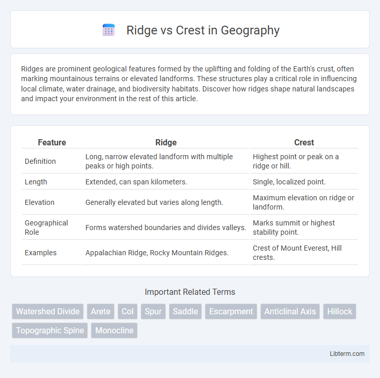 Crest vs Ridge in Geography - What is The Difference?