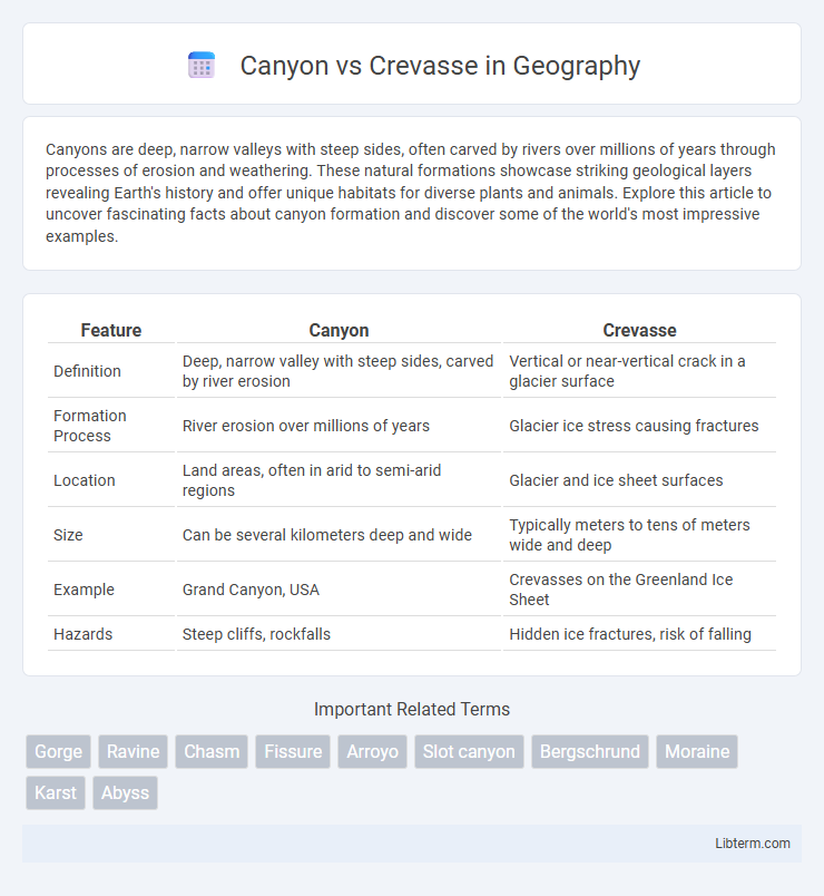 Crevasse vs Canyon in Geography - What is The Difference?