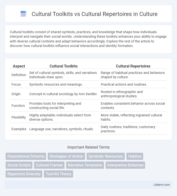 Cultural Repertoires vs Cultural Toolkits in Culture - What is The Difference?