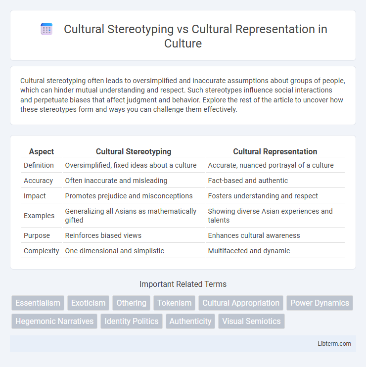 Cultural Representation vs Cultural Stereotyping in Culture - What is The Difference?