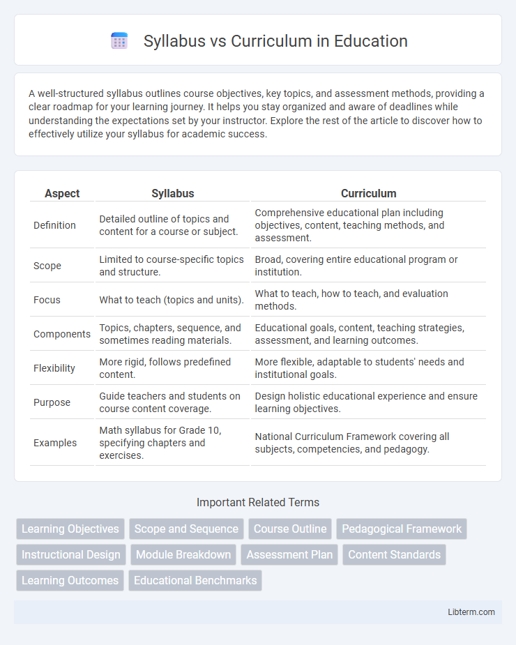 Curriculum vs Syllabus in Education - What is The Difference?