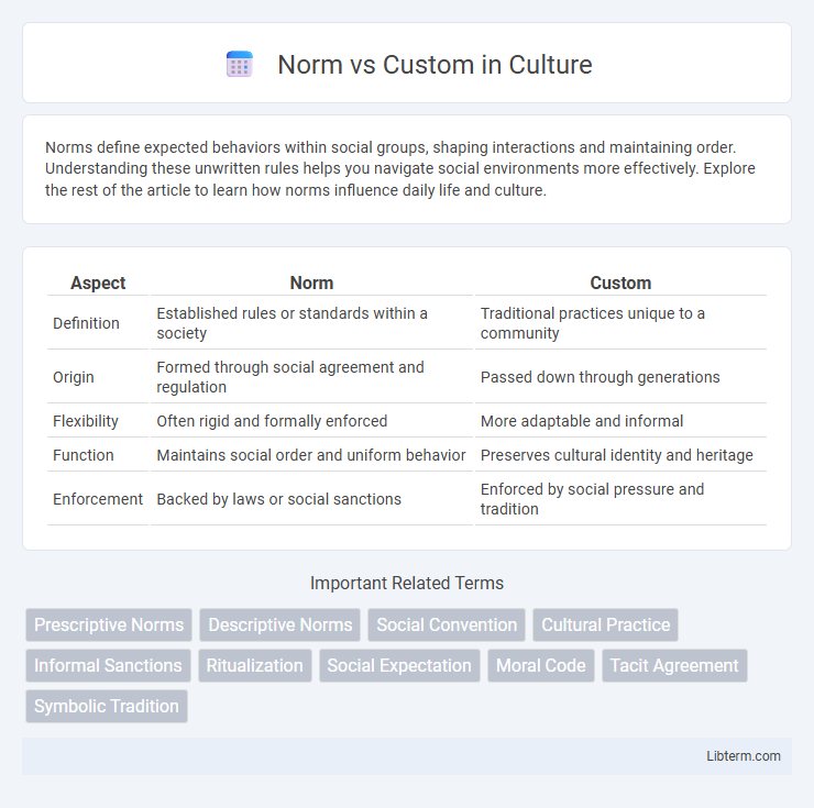 Custom vs Norm in Culture - What is The Difference?