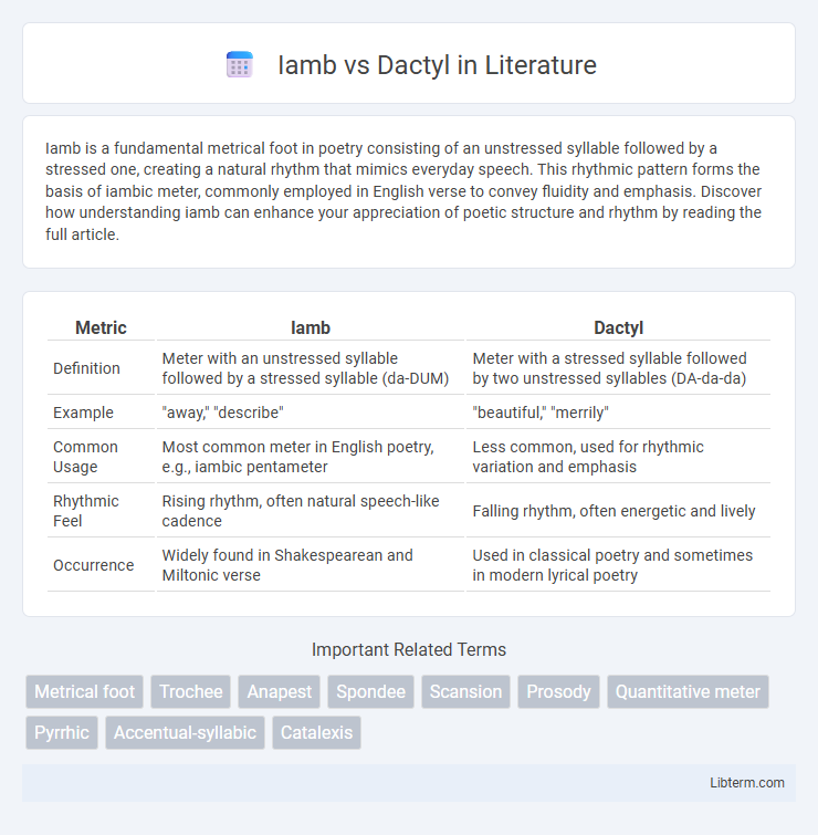Dactyl vs Iamb in Literature - What is The Difference?
