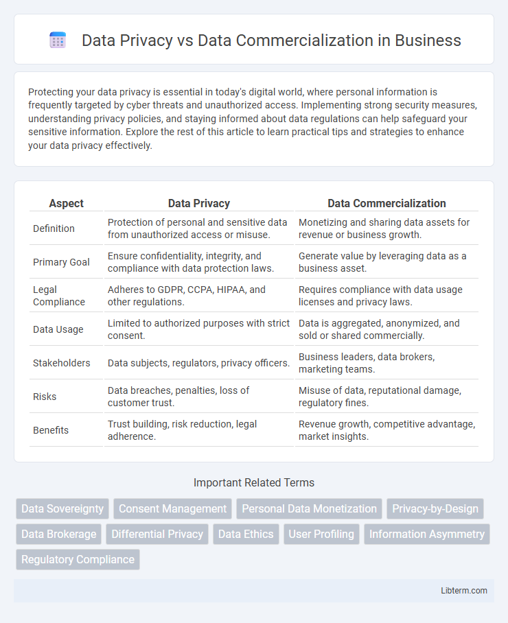 Data Commercialization vs Data Privacy in Business - What is The Difference?