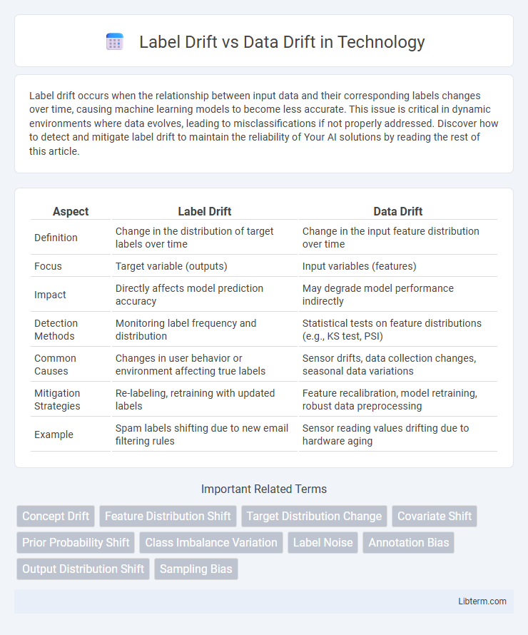 Data Drift vs Label Drift in Technology - What is The Difference?