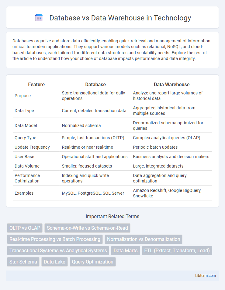 Data Warehouse vs Database in Technology - What is The Difference?