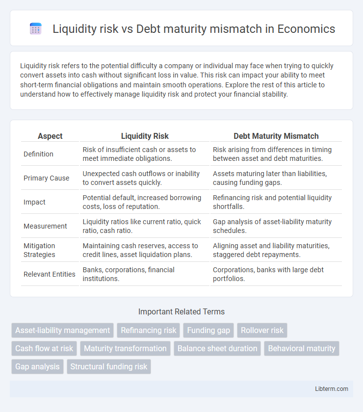 Debt maturity mismatch vs Liquidity risk in Economics - What is The Difference?