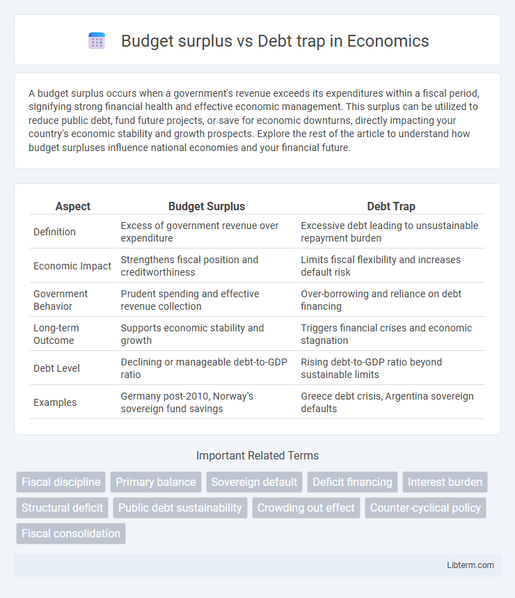Debt trap vs Budget surplus in Economics - What is The Difference?