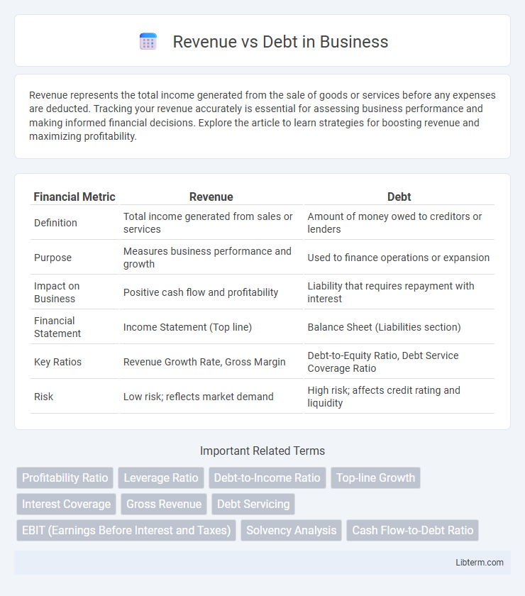 Debt vs Revenue in Business - What is The Difference?
