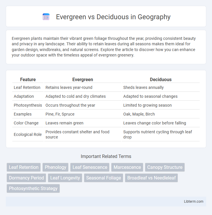 Deciduous vs Evergreen in Geography - What is The Difference?