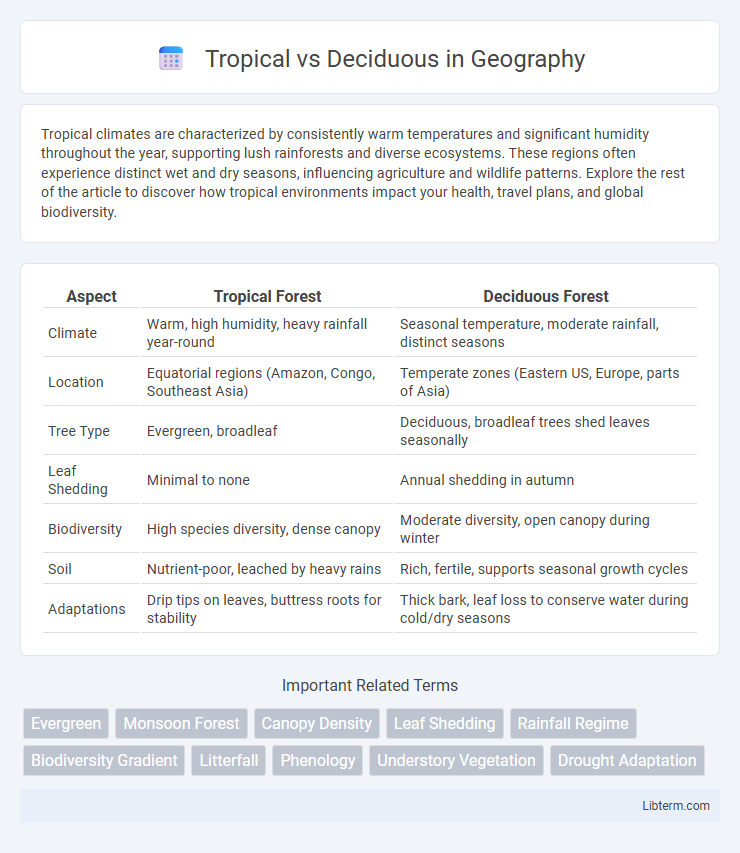 Deciduous vs Tropical in Geography - What is The Difference?