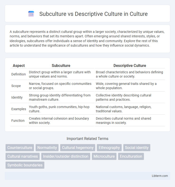 Descriptive Culture vs Subculture in Culture - What is The Difference?