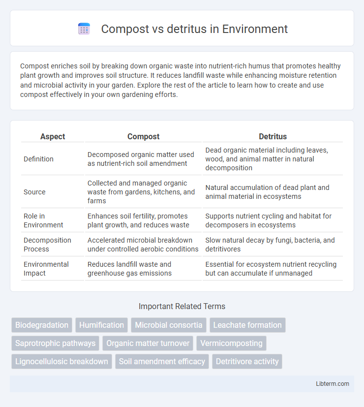 detritus vs Compost in Environment - What is The Difference?