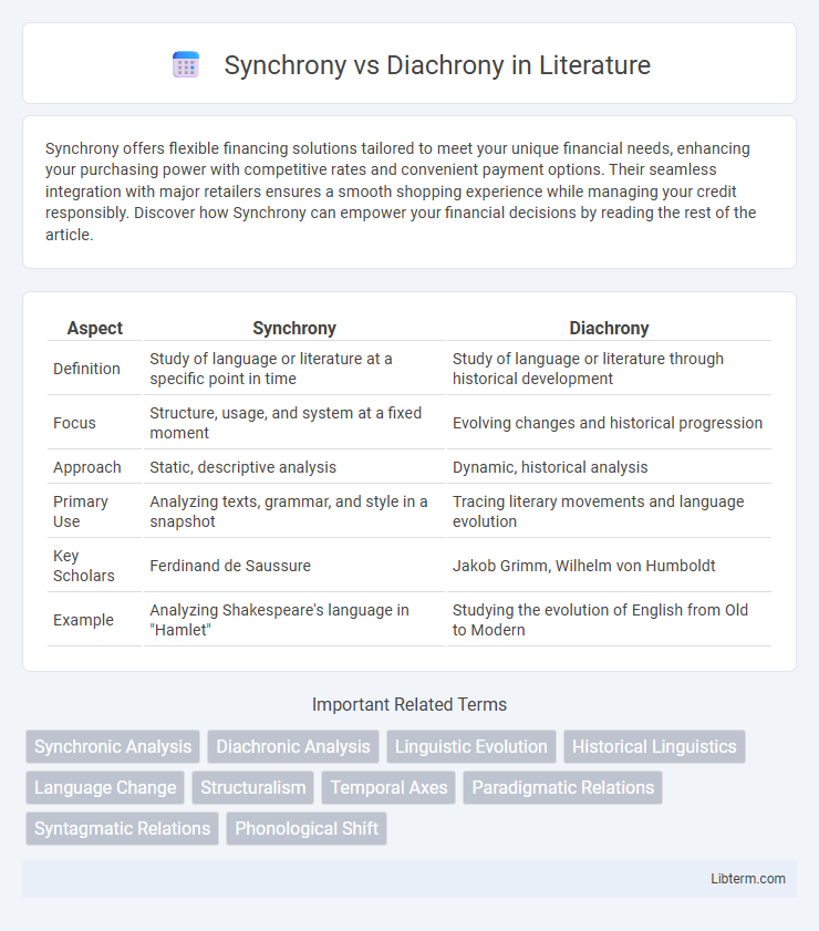 Diachrony vs Synchrony in Literature - What is The Difference?