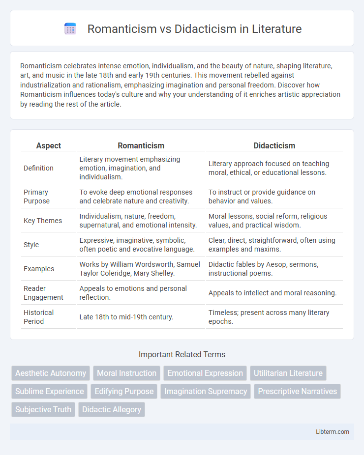 Didacticism vs Romanticism in Literature - What is The Difference?