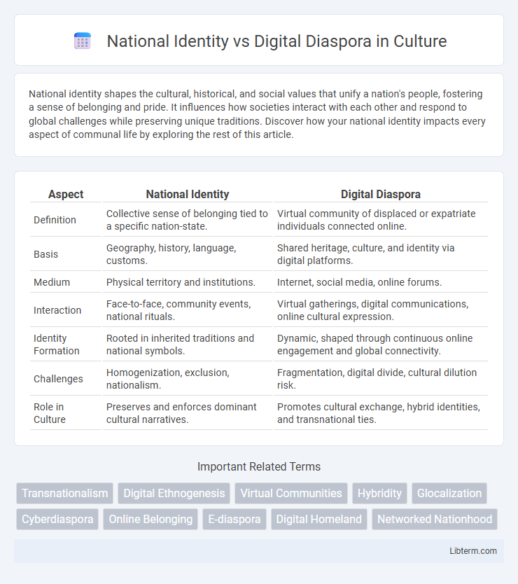 Digital Diaspora vs National Identity in Culture - What is The Difference?