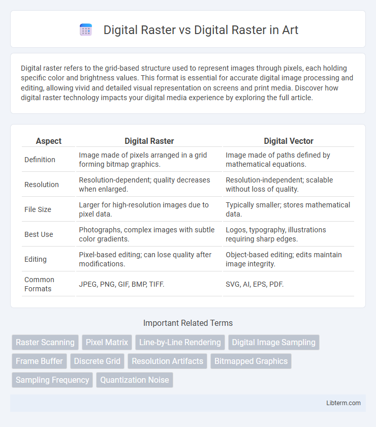 Digital Raster vs Digital Raster in Art - What is The Difference?
