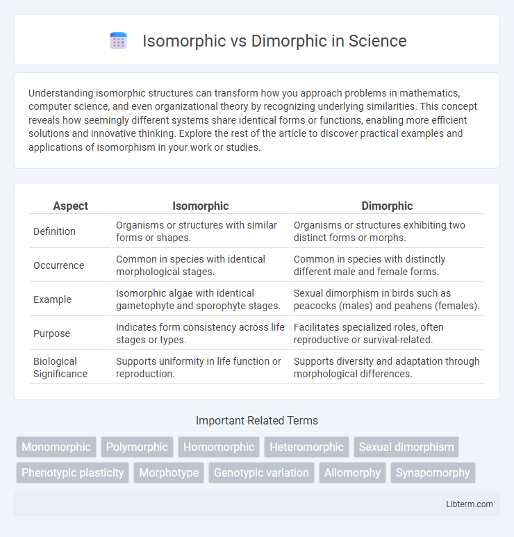 Dimorphic vs Isomorphic in Science - What is The Difference?