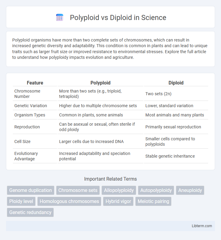 Diploid vs Polyploid in Science - What is The Difference?