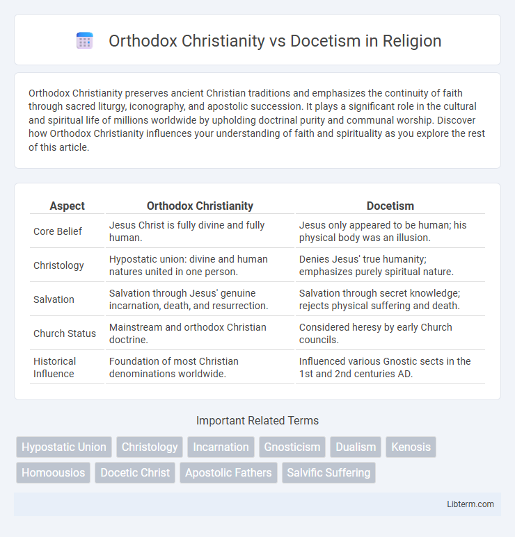 Docetism vs Orthodox Christianity in Religion - What is The Difference?