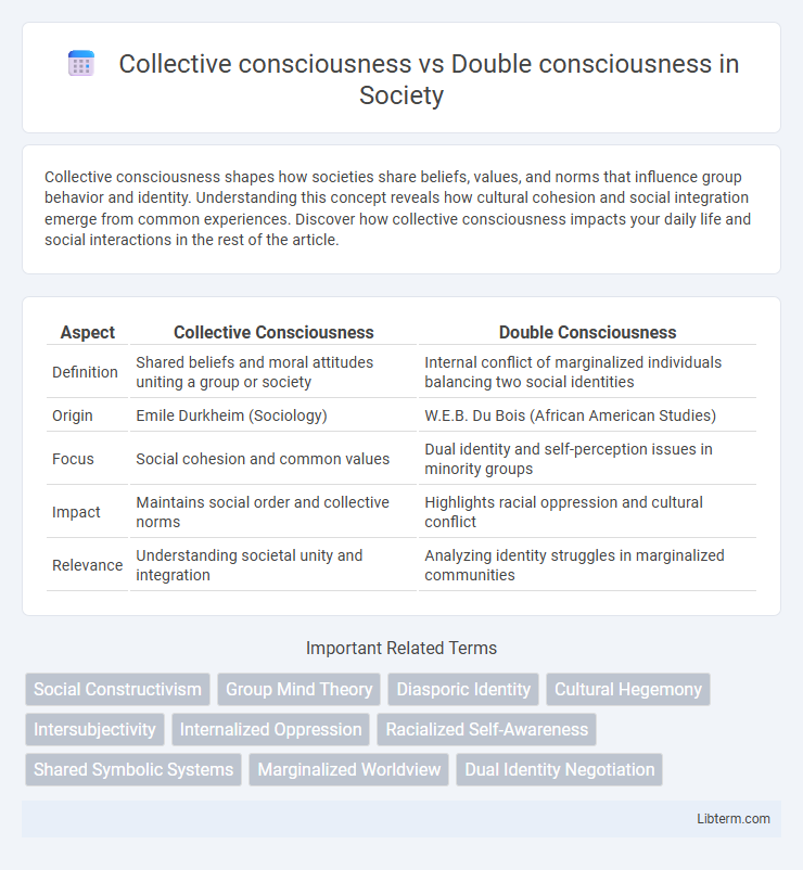 Double consciousness vs Collective consciousness in Society - What is The Difference?