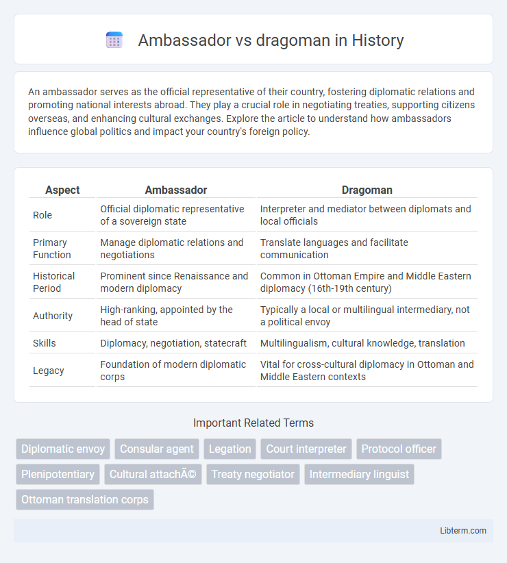 dragoman vs Ambassador in History - What is The Difference?