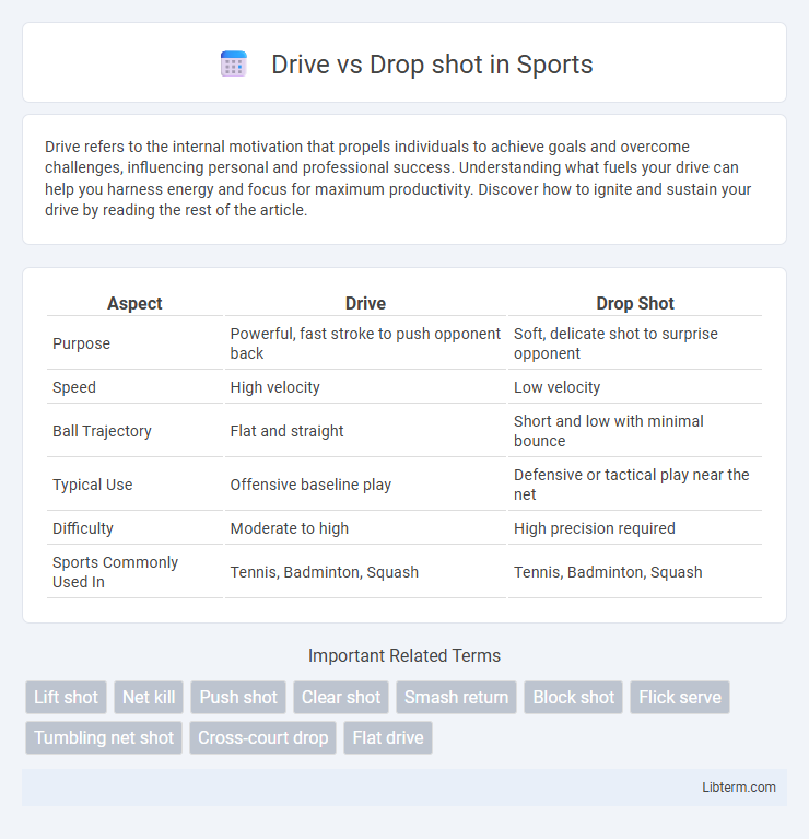Drop shot vs Drive in Sports - What is The Difference?
