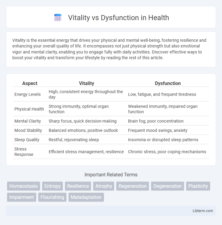 Dysfunction vs Vitality in Health - What is The Difference?
